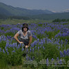 fields and fields of lupine in washington gulch-crested butte, colorado.  amazing.